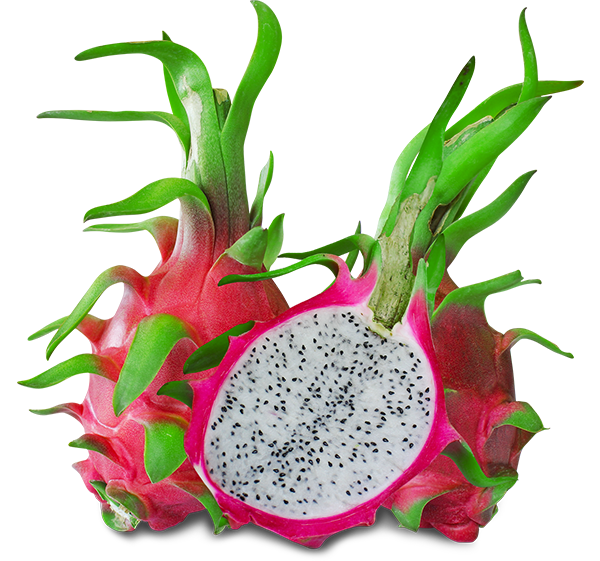 White flesh dragon fruit